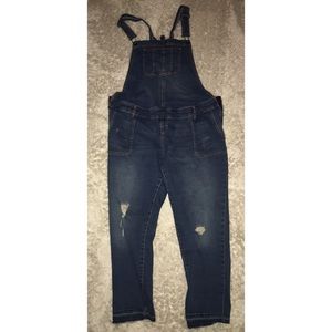 Indigo Blue overalls